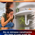 De ce miroase canalizarea din baie si cum scapi de miros