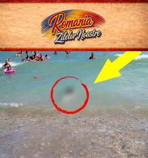 Turiştilor nu le-a venit să creadă! Ce au adus valurile la mal, în staţiunea Costineşti