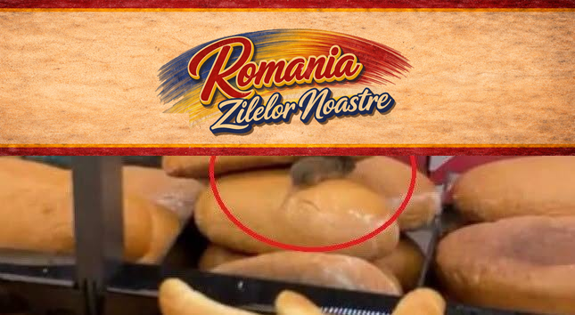 Ireal! Șoarece filmat la raionul cu pâine, într-un supermarket din…